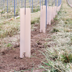 Polyform Grow Tubes from Oregon Wire.