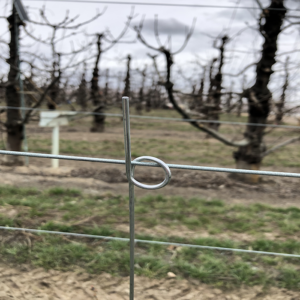 High-res close-up of a looped end nursery stake