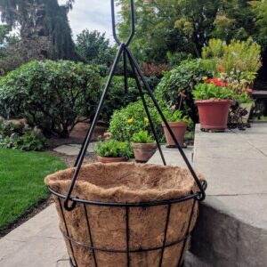 The premium grid hanging basket from Oregon Wire.